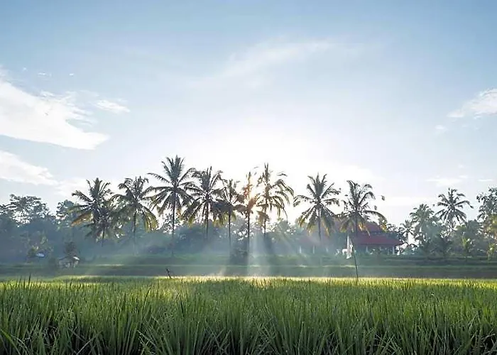 Benisari Batik Garden