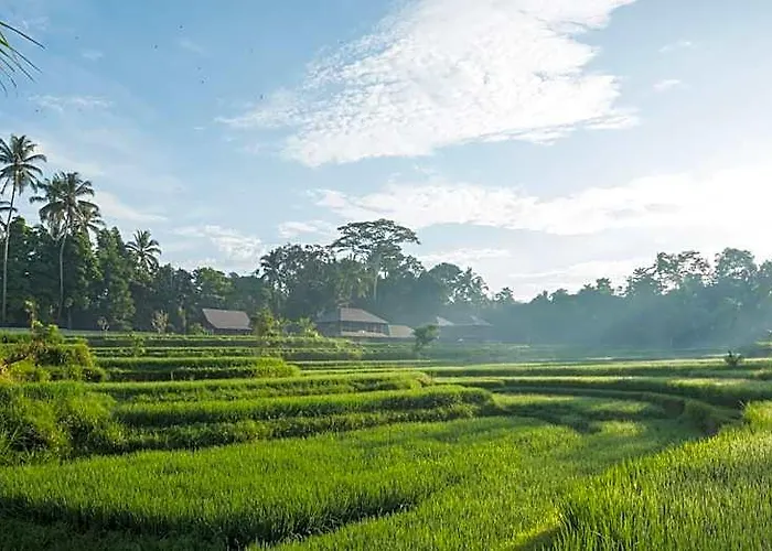 Benisari Batik Garden ロッジ
