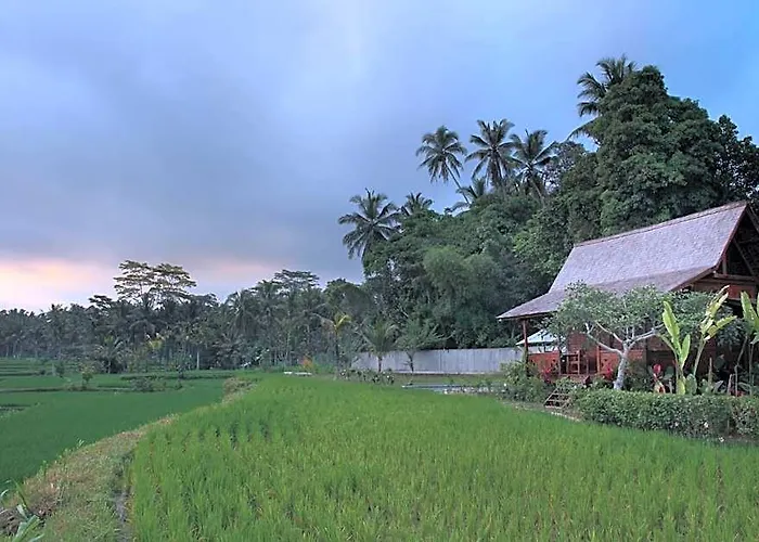 Benisari Batik Garden ロッジ Kelusa