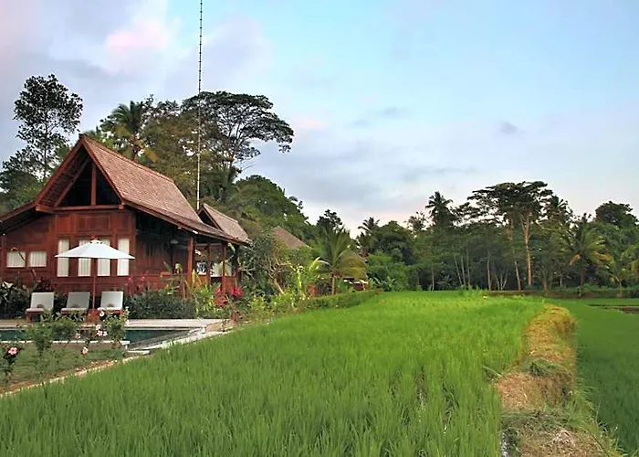 Benisari Batik Garden Kelusa
